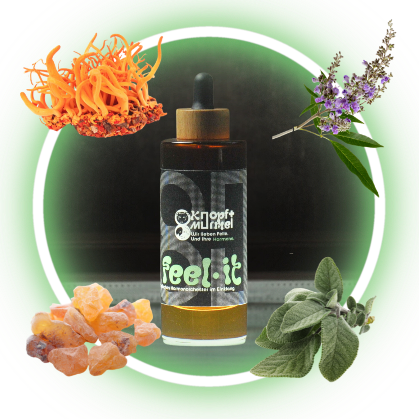 Feel-it Inhaltsstoffe in Bio-Qualität Vitalpilze und Superfood wie Weihrauch, Hericium, Mönchspfeffer und Cordyceps