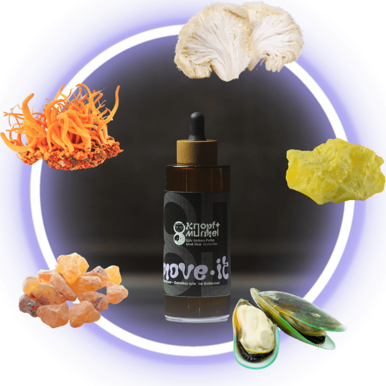 Move-it Inhaltsstoffe in Bio-Qualität Vitalpilze und Superfood wie Grünlippmuschel, Schwefel/MSM, Weihrauch Hericium und Cordyceps